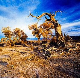 《麻布仔大冒险》推出国行版 8月17日登陆PS4和PS5